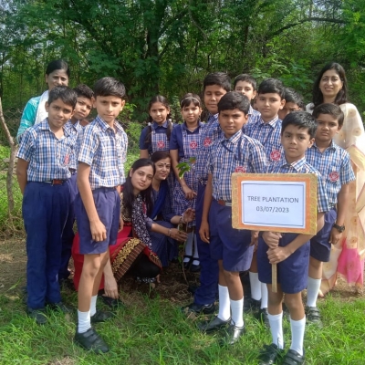 Tree Plantation 